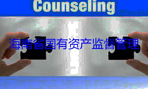 资产监督管查调查理委员会党有福接受审海南省国有委副书记王
